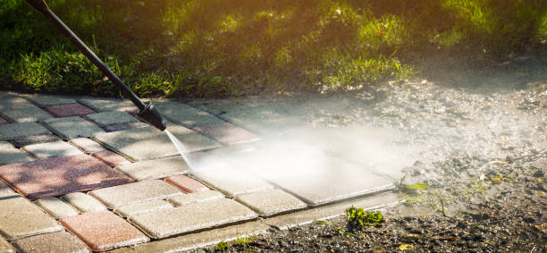 Best Dumpster Area Cleaning  in Harvey, LA